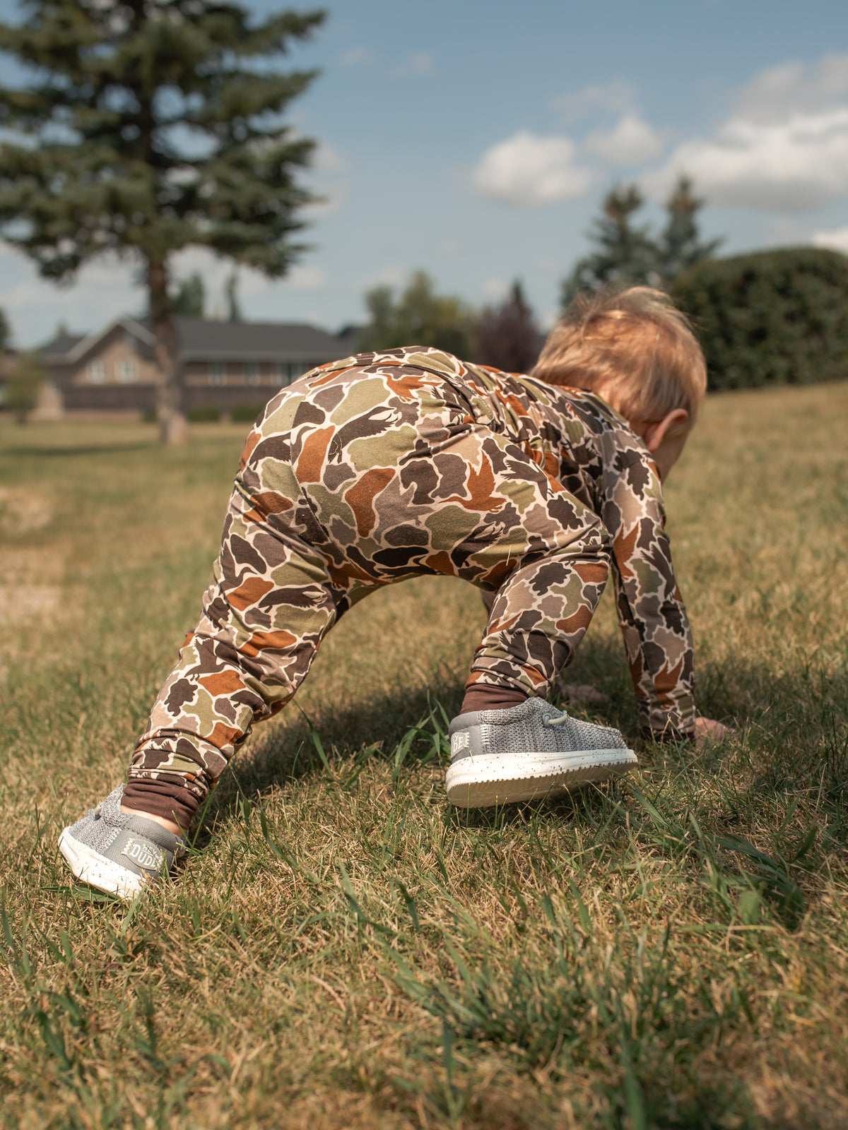 Cohen Hunting